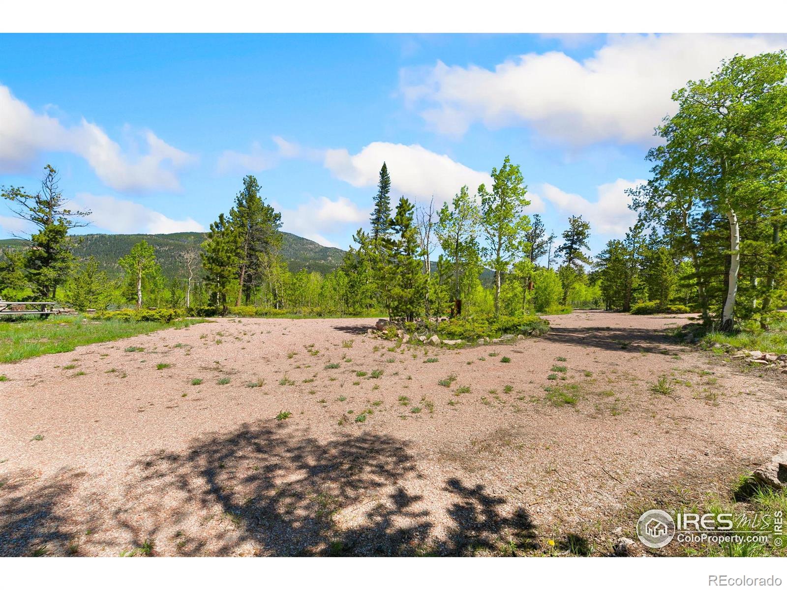 5449 N County Road 73c Red Feather Lakes CO 80545