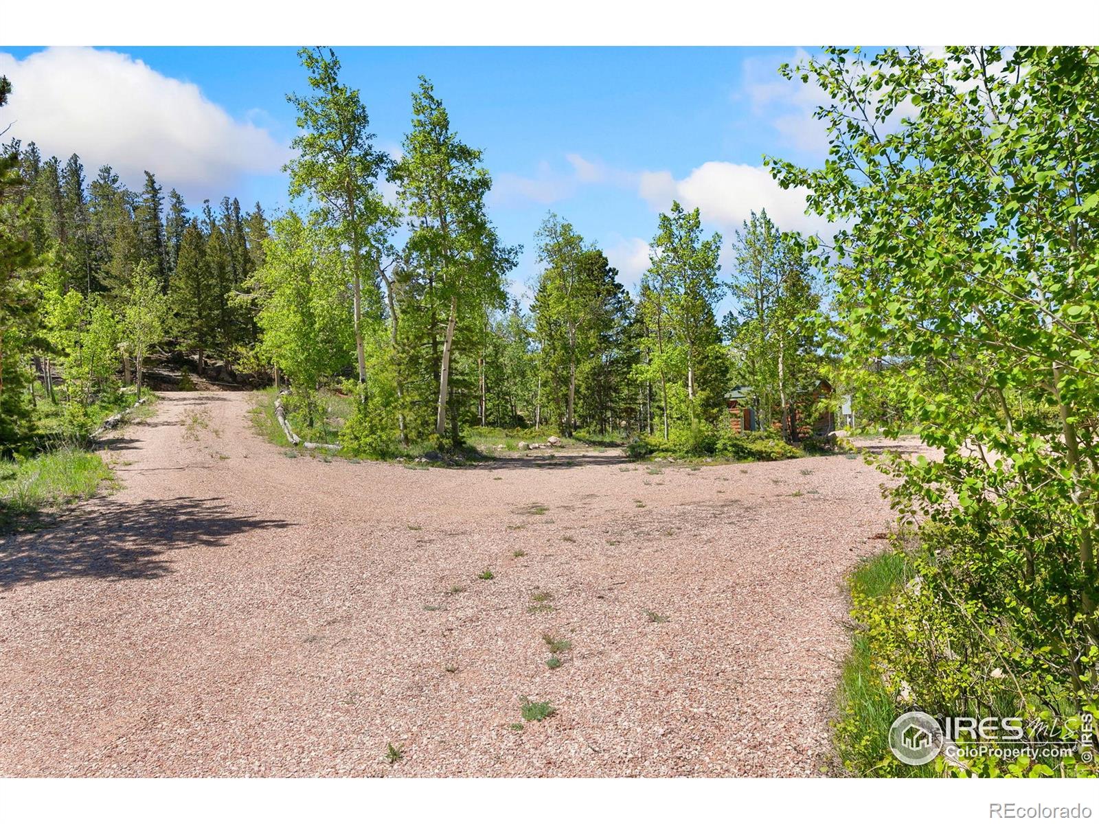 5449 N County Road 73c Red Feather Lakes CO 80545