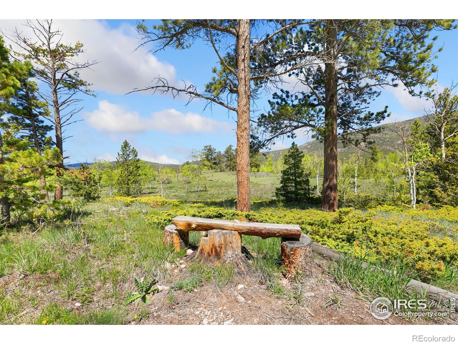 5449 N County Road 73c Red Feather Lakes CO 80545