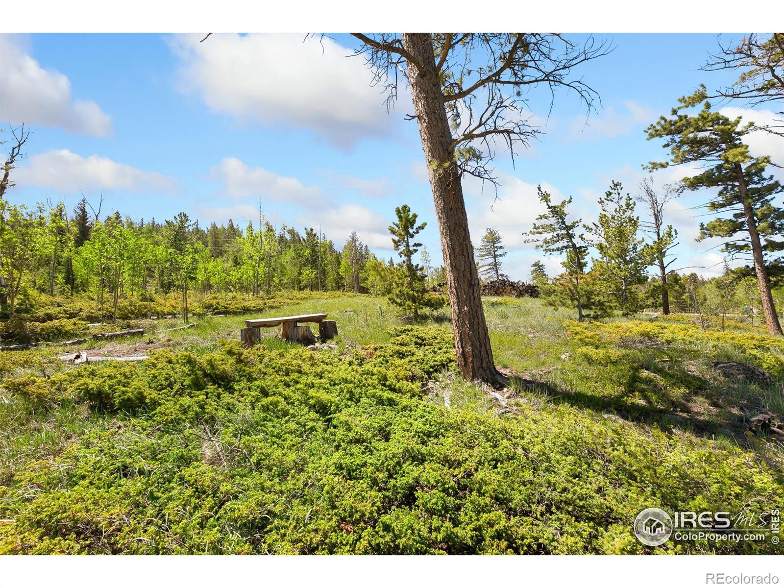 5449 N County Road 73c Red Feather Lakes CO 80545