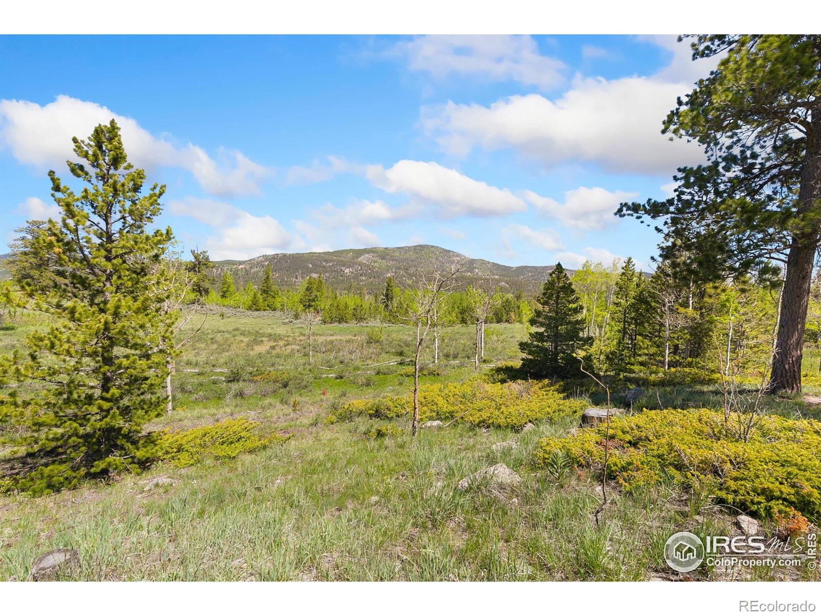 5449 N County Road 73c Red Feather Lakes CO 80545