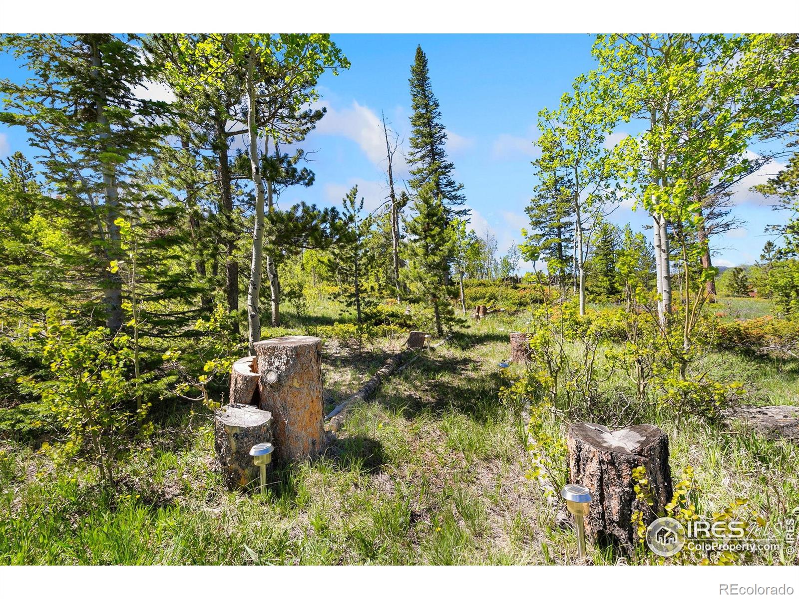 5449 N County Road 73c Red Feather Lakes CO 80545