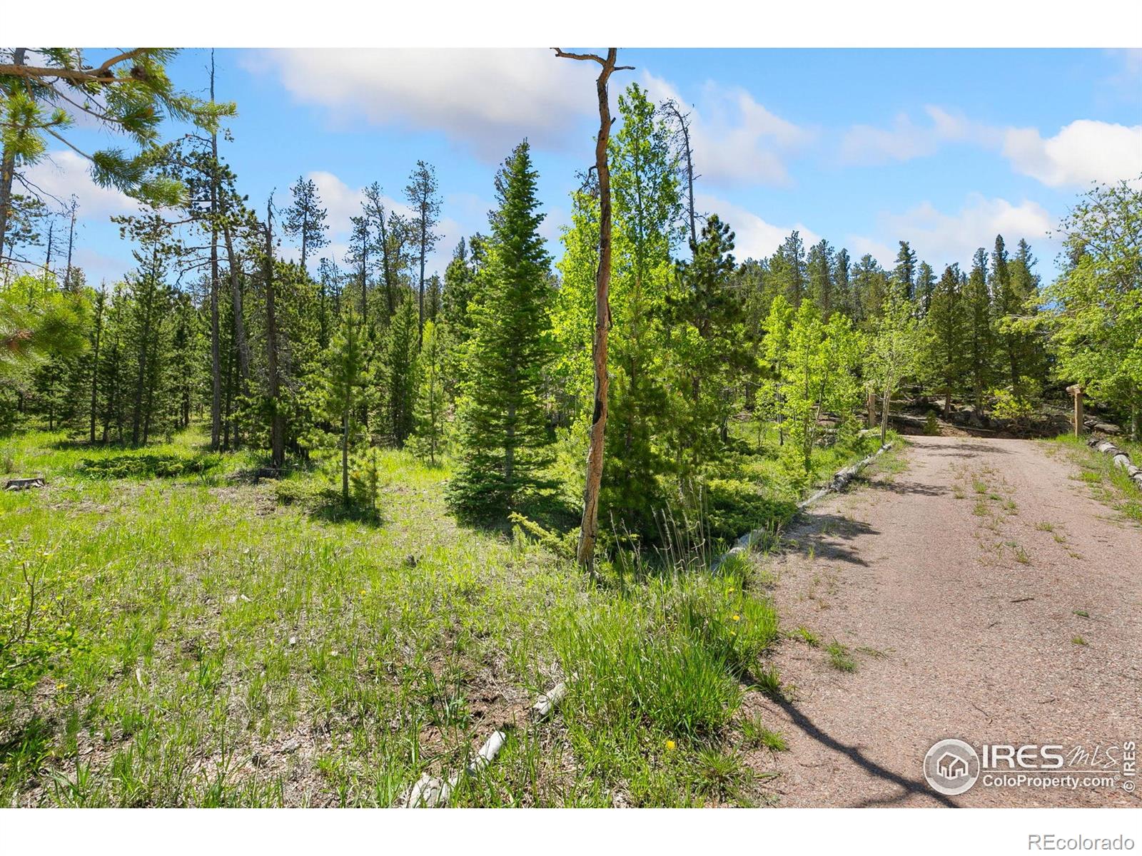 5449 N County Road 73c Red Feather Lakes CO 80545