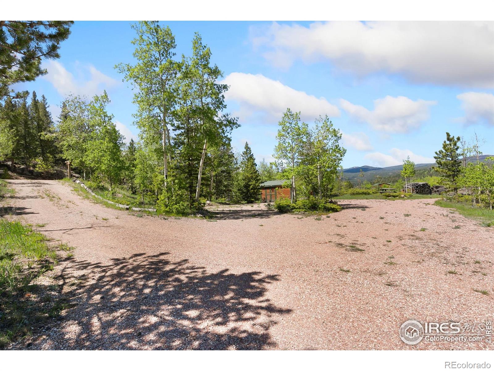 5449 N County Road 73c Red Feather Lakes CO 80545