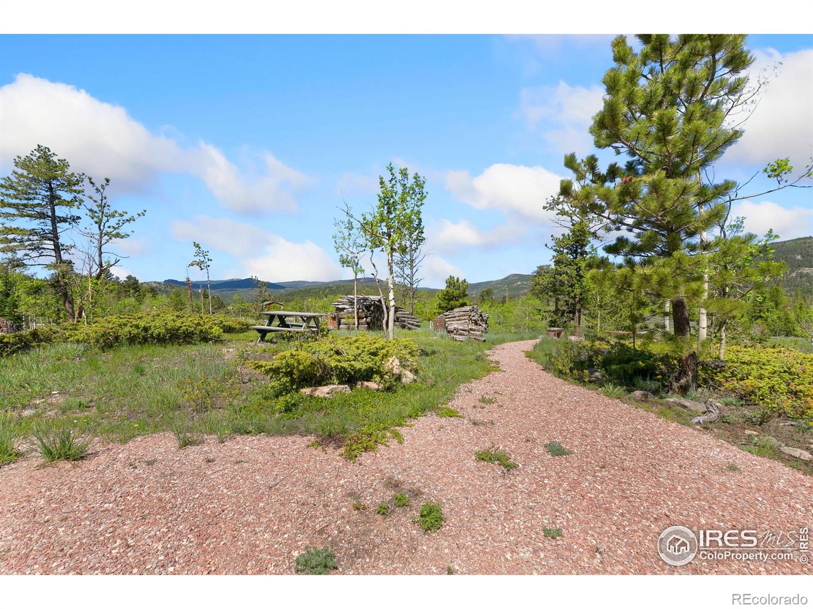 5449 N County Road 73c Red Feather Lakes CO 80545