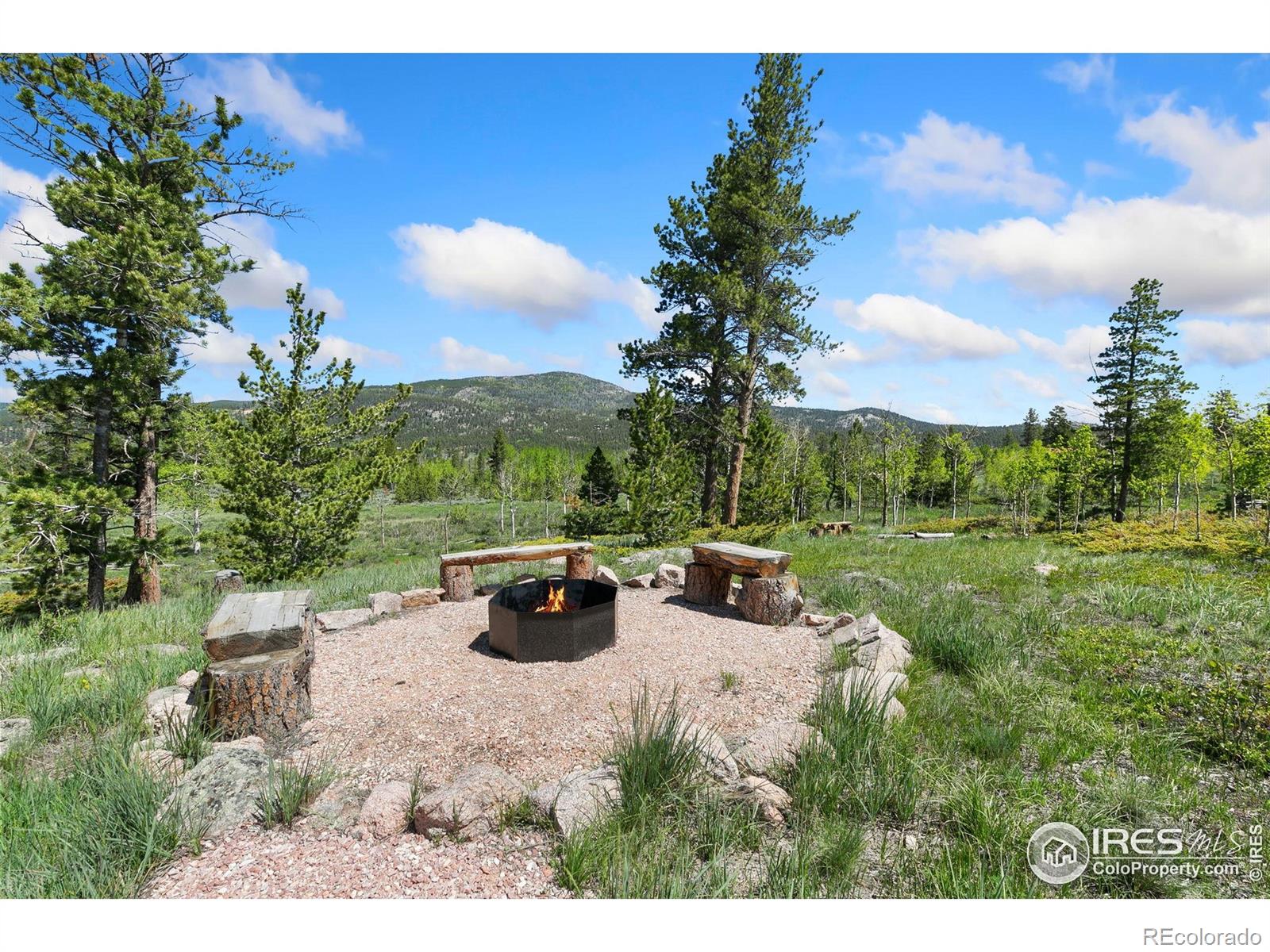 5449 N County Road 73c Red Feather Lakes CO 80545