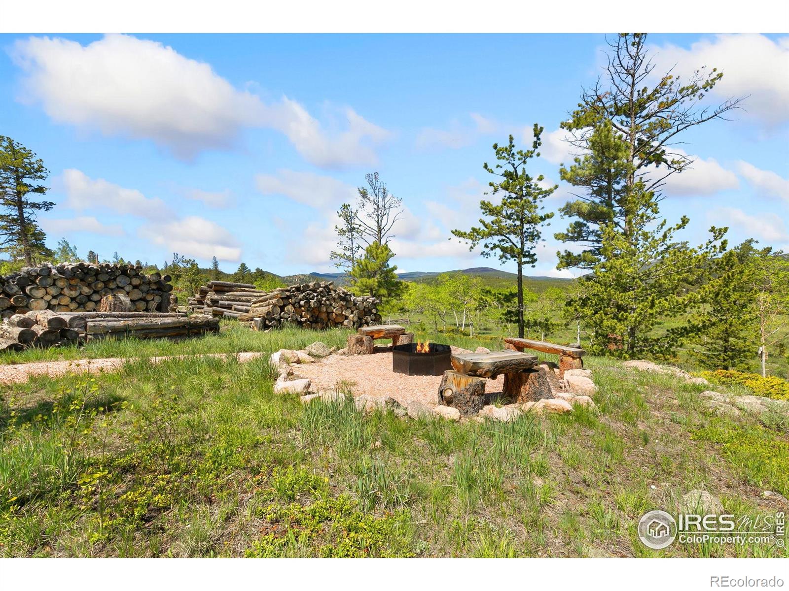 5449 N County Road 73c Red Feather Lakes CO 80545