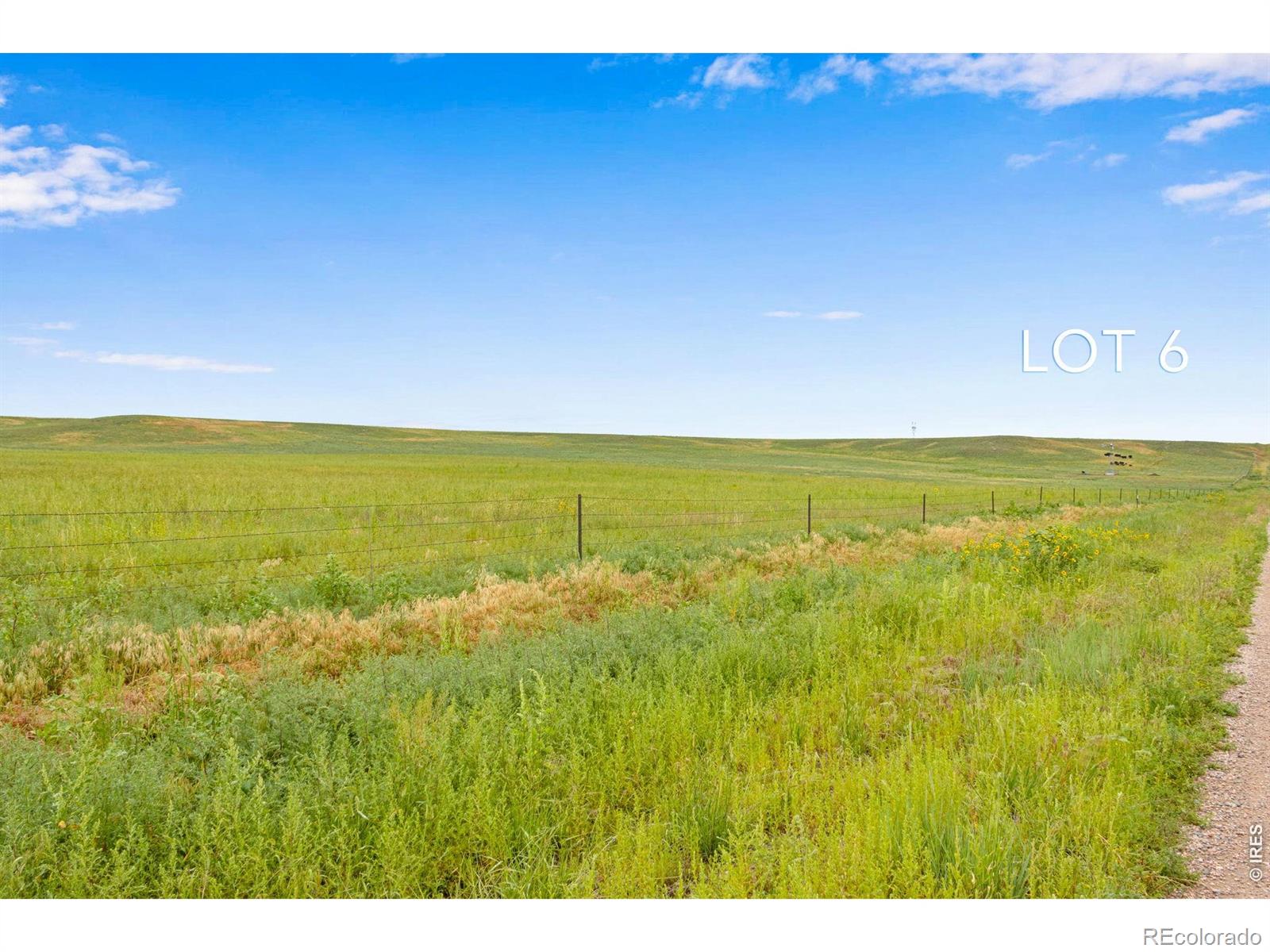 6 Tbd County Road 122 Carr CO 80612
