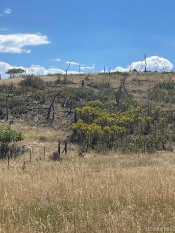 1971 County Road 27a Cotopaxi CO 81223