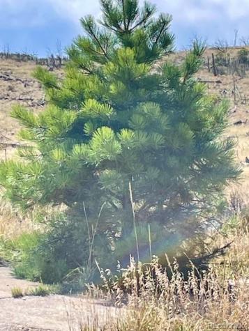 1971 County Road 27a Cotopaxi CO 81223