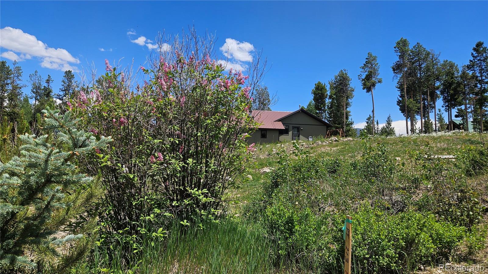 118 GCR 4947 Grand Lake CO 80447