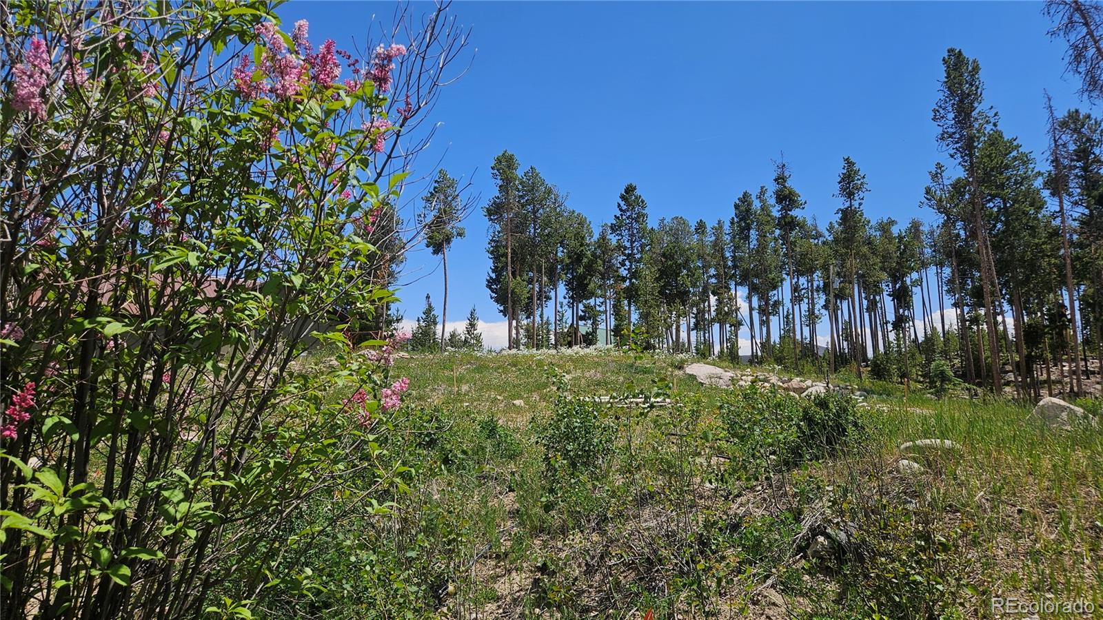 118 GCR 4947 Grand Lake CO 80447