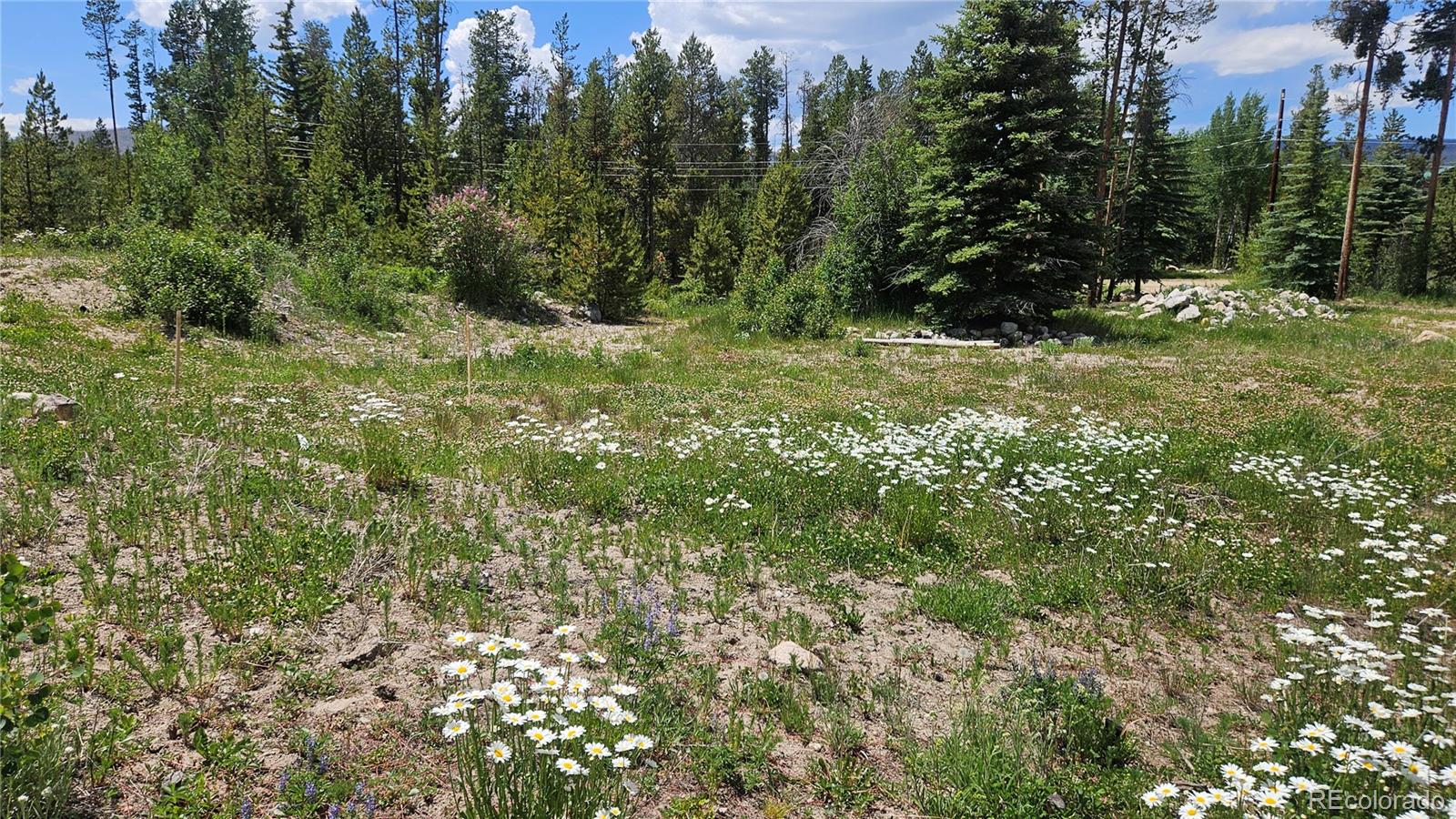 118 GCR 4947 Grand Lake CO 80447
