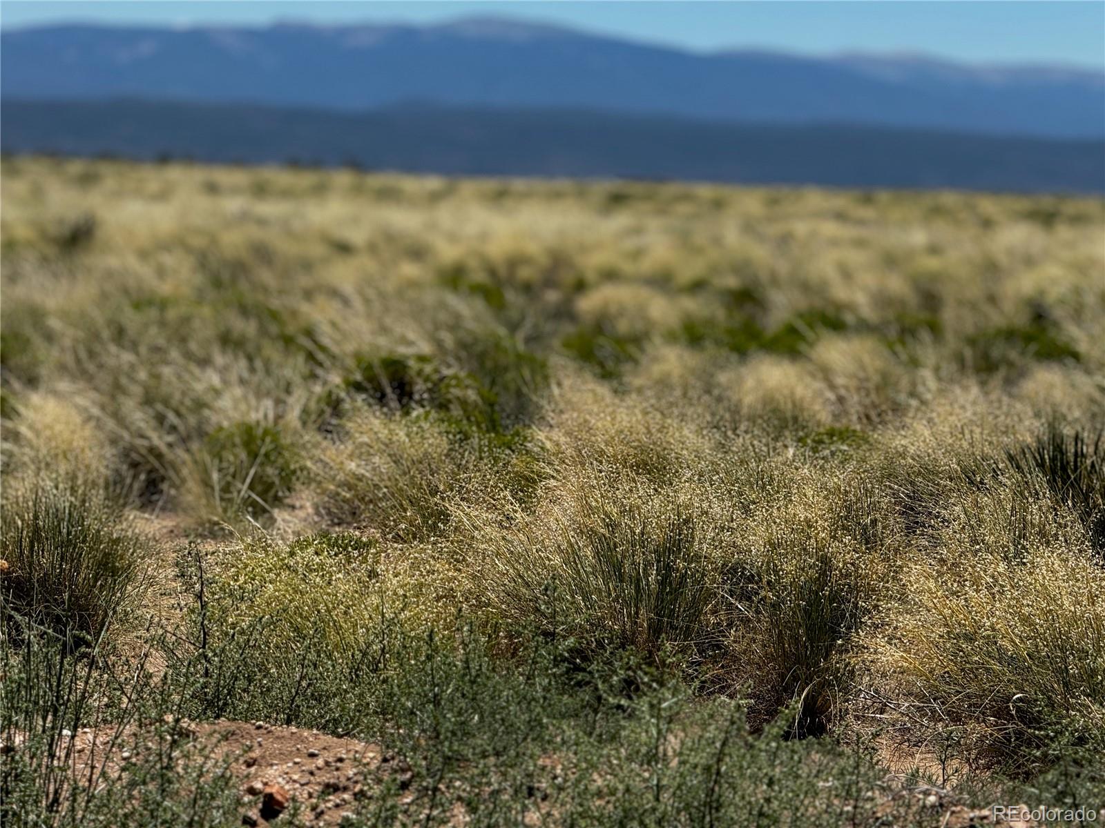 Lot 16 Ana Avenue San Luis CO 81152
