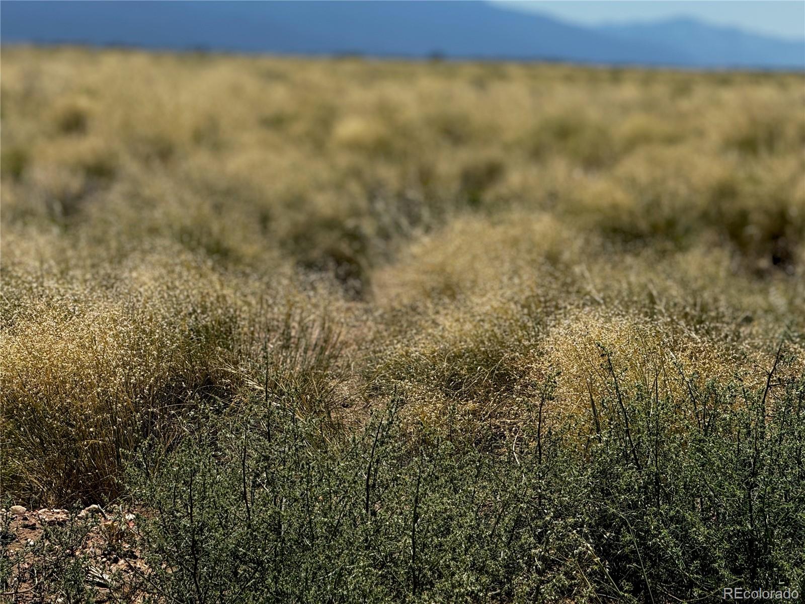Lot 16 Ana Avenue San Luis CO 81152
