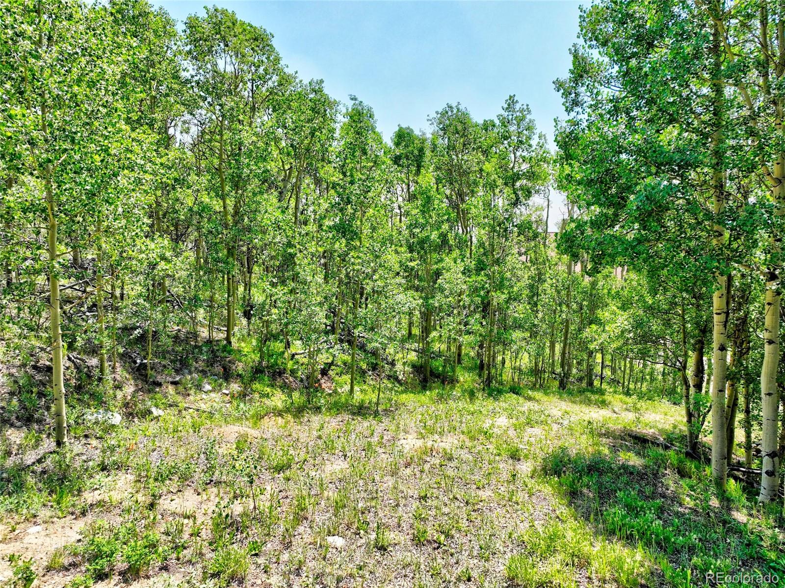 Madison & Company Properties, LLC