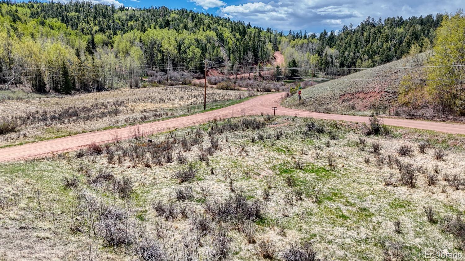 2031 Gold King Drive Cripple Creek CO 80813