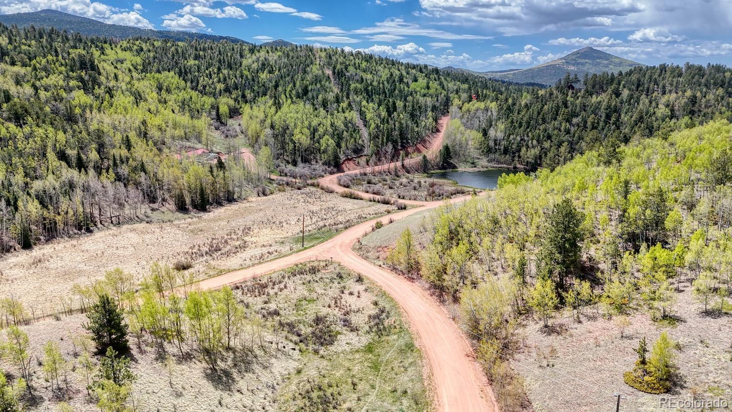 2031 Gold King Drive Cripple Creek CO 80813