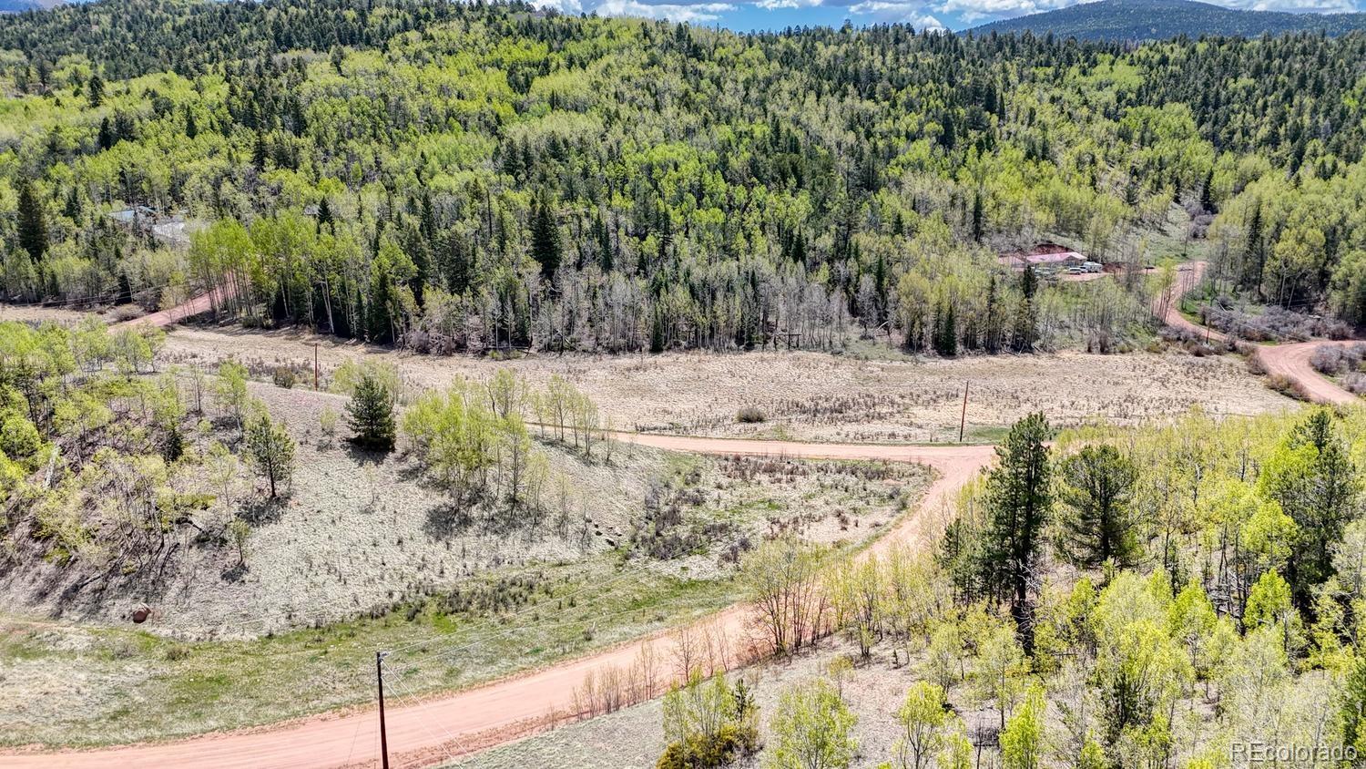 2031 Gold King Drive Cripple Creek CO 80813