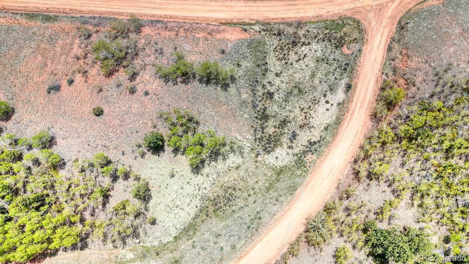 2031 Gold King Drive Cripple Creek CO 80813