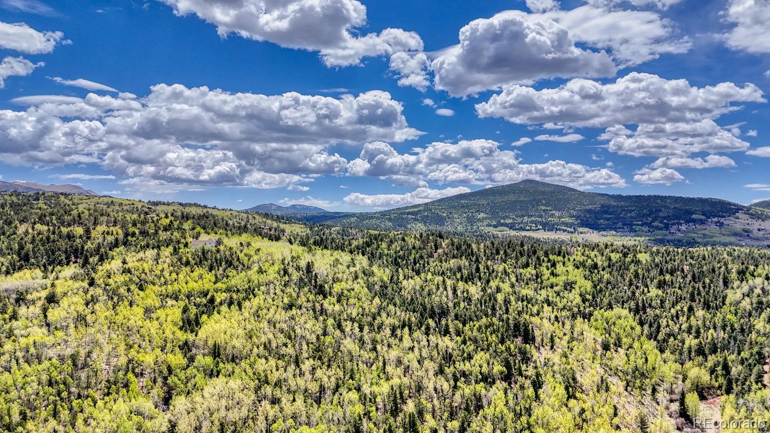 2031 Gold King Drive Cripple Creek CO 80813