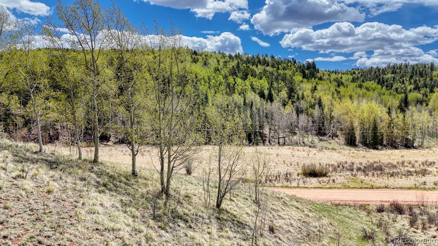 2031 Gold King Drive Cripple Creek CO 80813