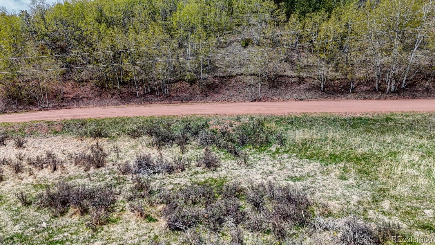 2031 Gold King Drive Cripple Creek CO 80813