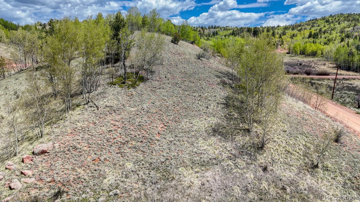 2031 Gold King Drive Cripple Creek CO 80813
