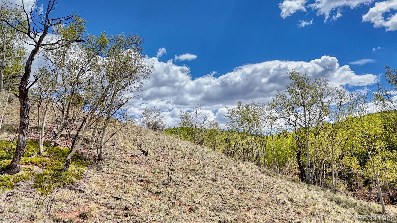 2031 Gold King Drive Cripple Creek CO 80813