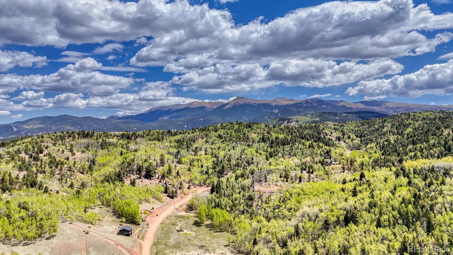 2031 Gold King Drive Cripple Creek CO 80813