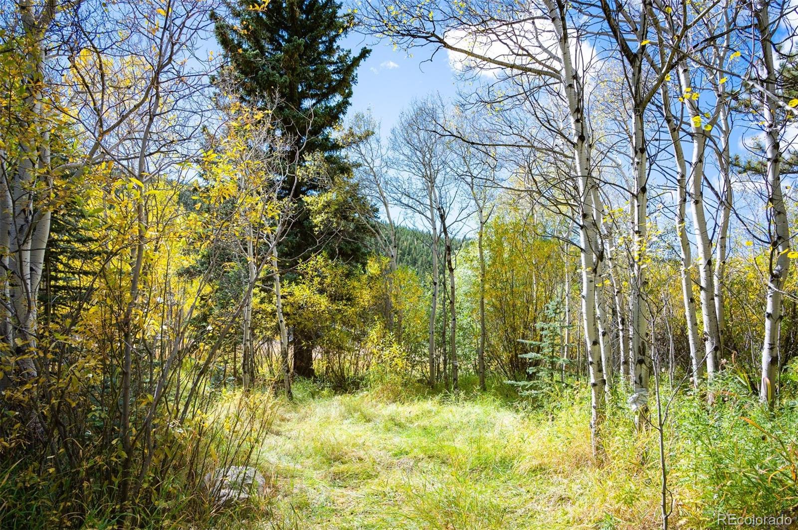 531 Caribou Road Nederland CO 80466