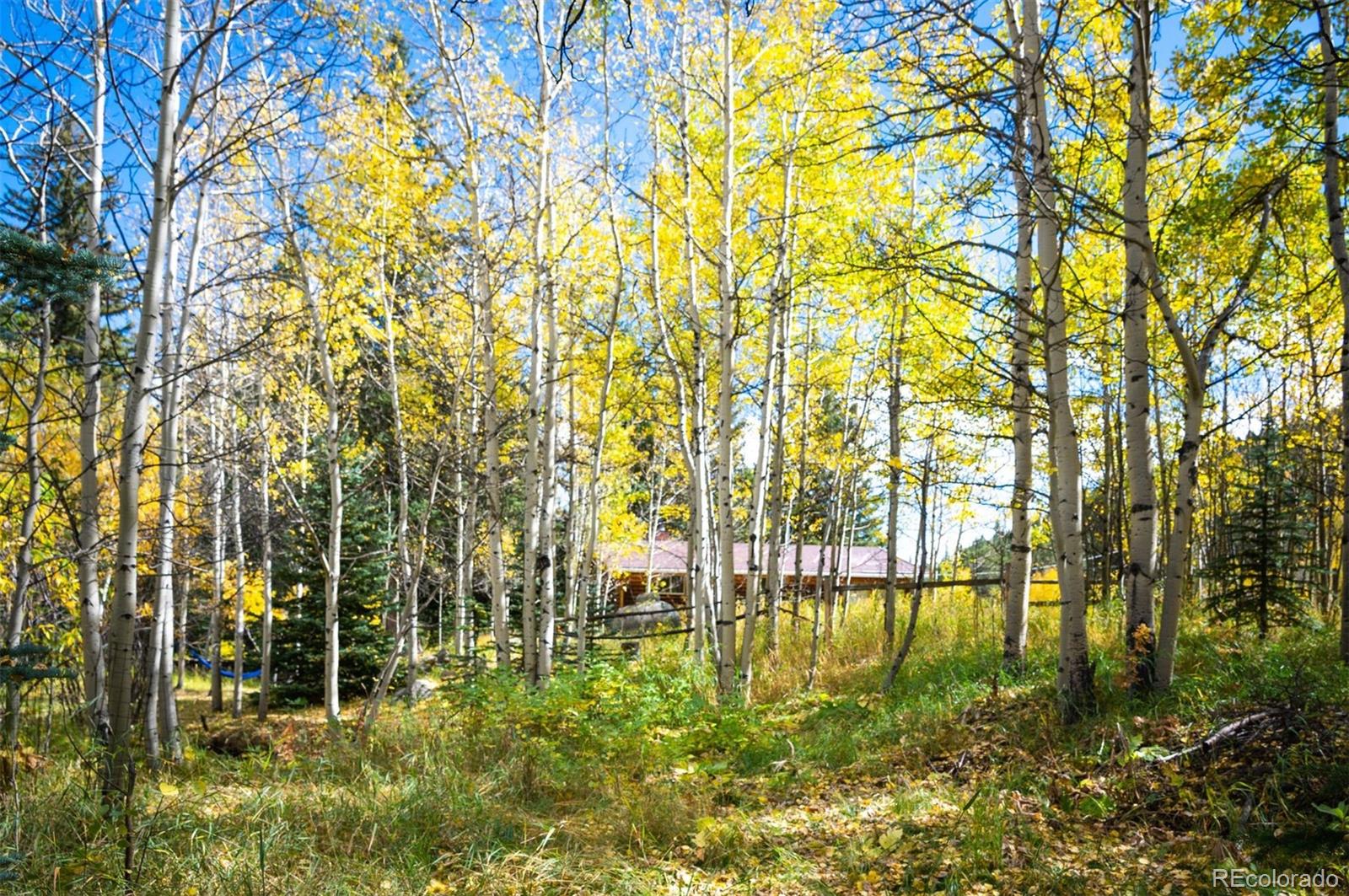 531 Caribou Road Nederland CO 80466