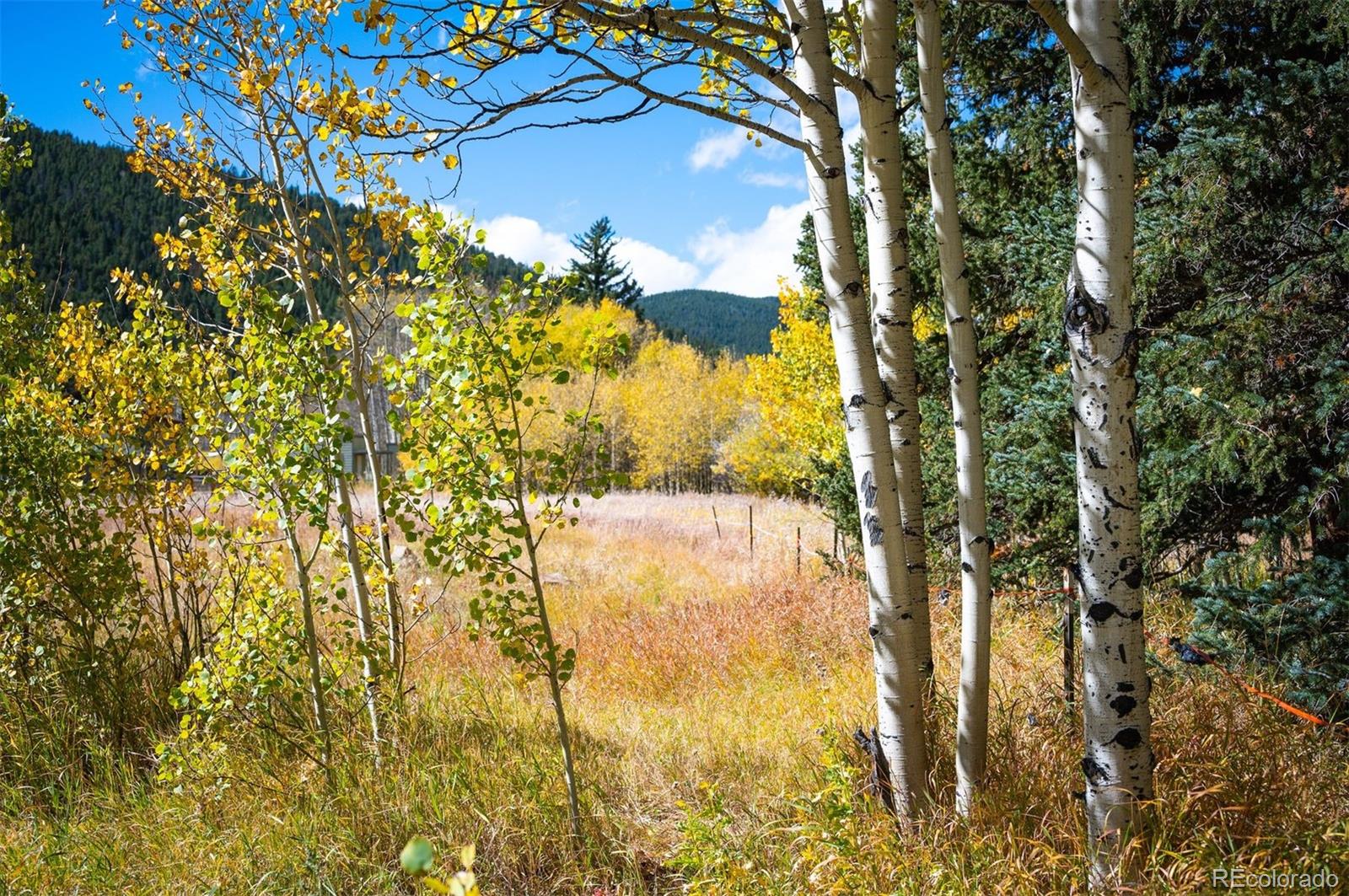 531 Caribou Road Nederland CO 80466