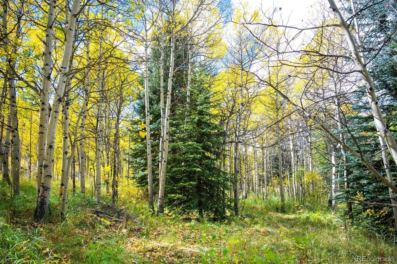 531 Caribou Road Nederland CO 80466