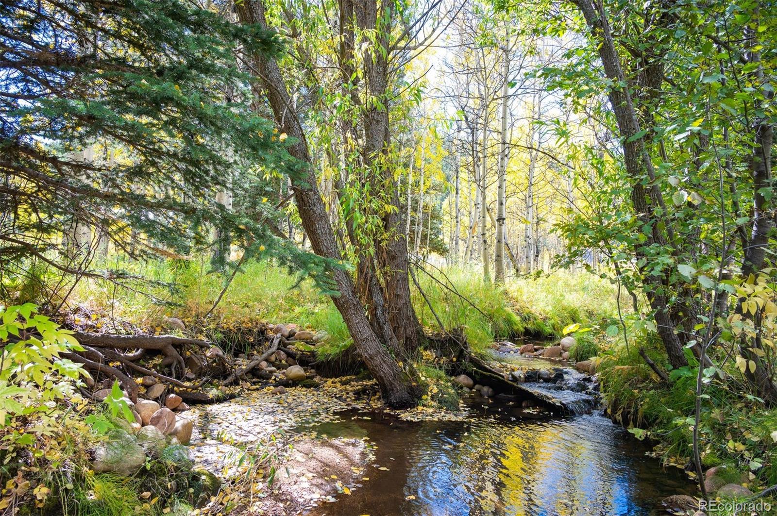 531 Caribou Road Nederland CO 80466