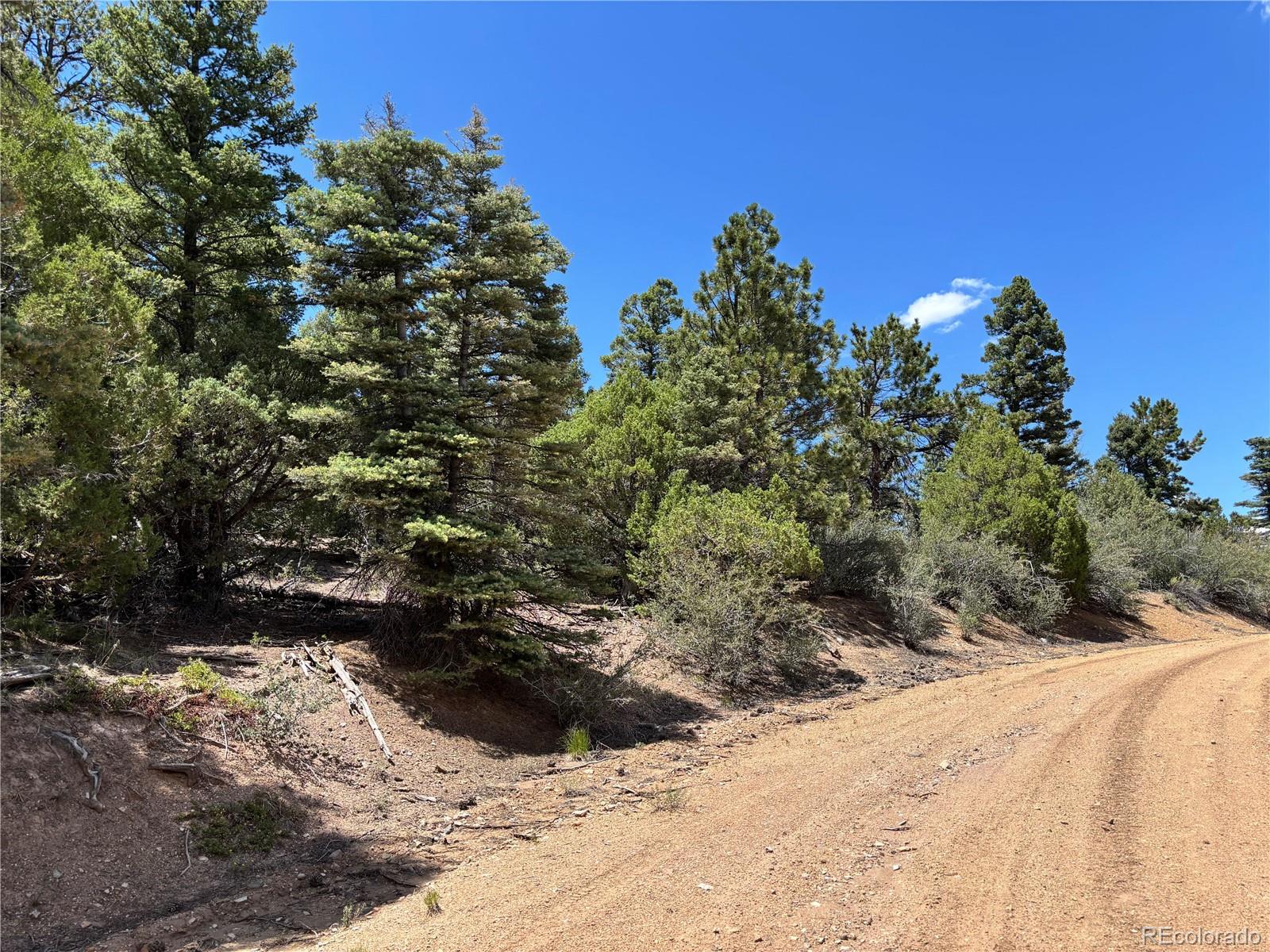 00 Sesame Road Fort Garland CO 81133