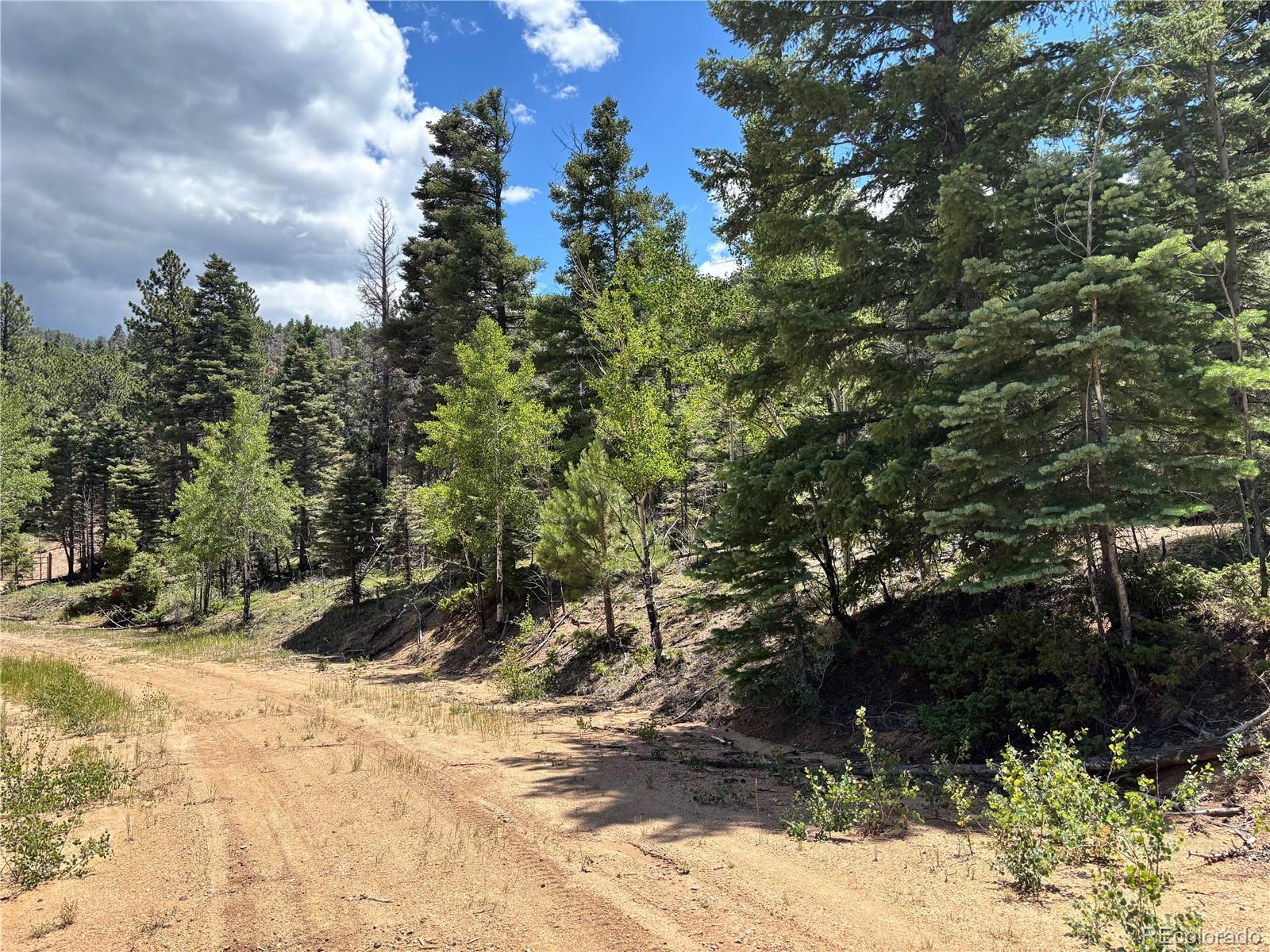 00 Sesame Road Fort Garland CO 81133