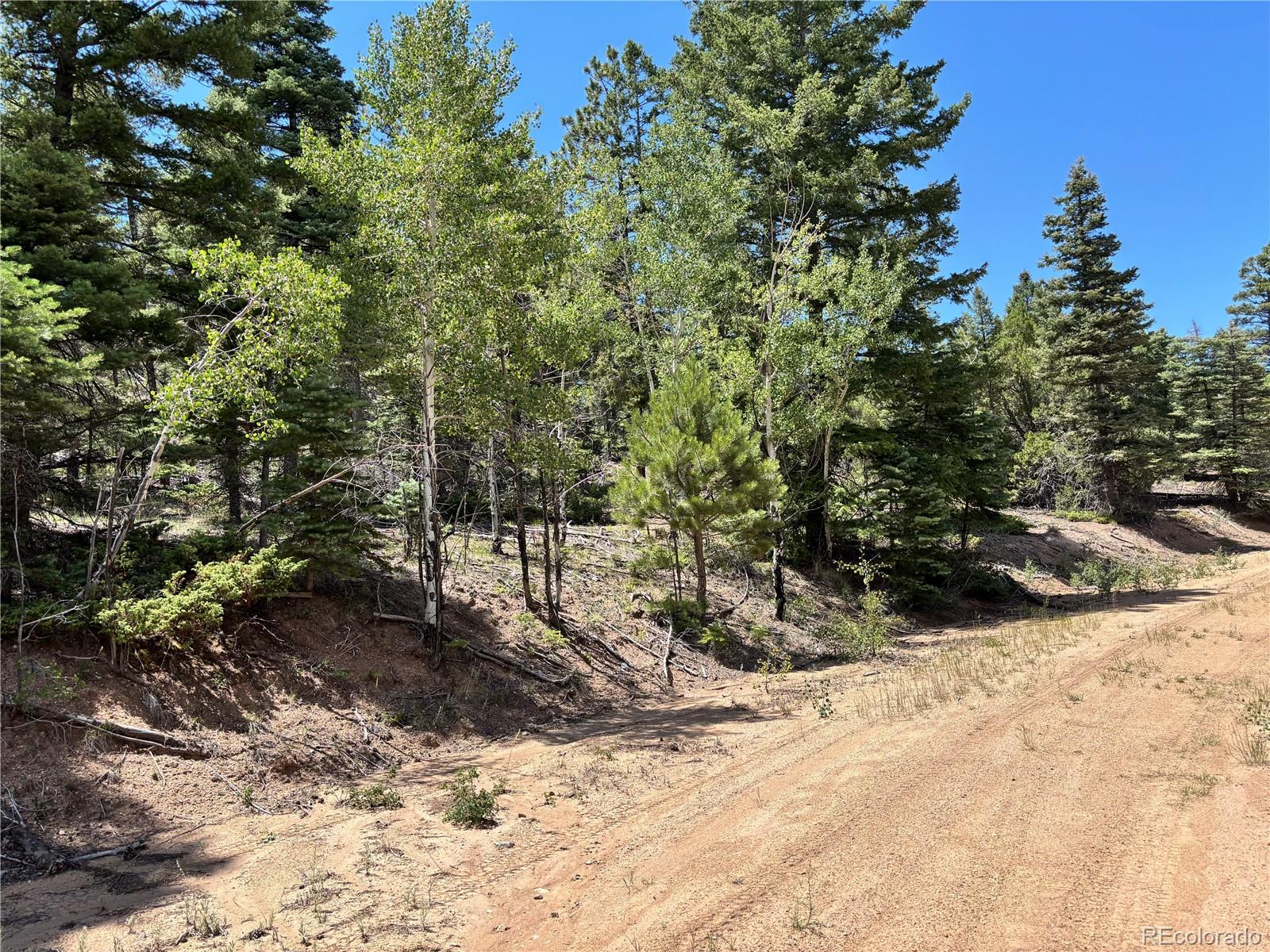 00 Sesame Road Fort Garland CO 81133