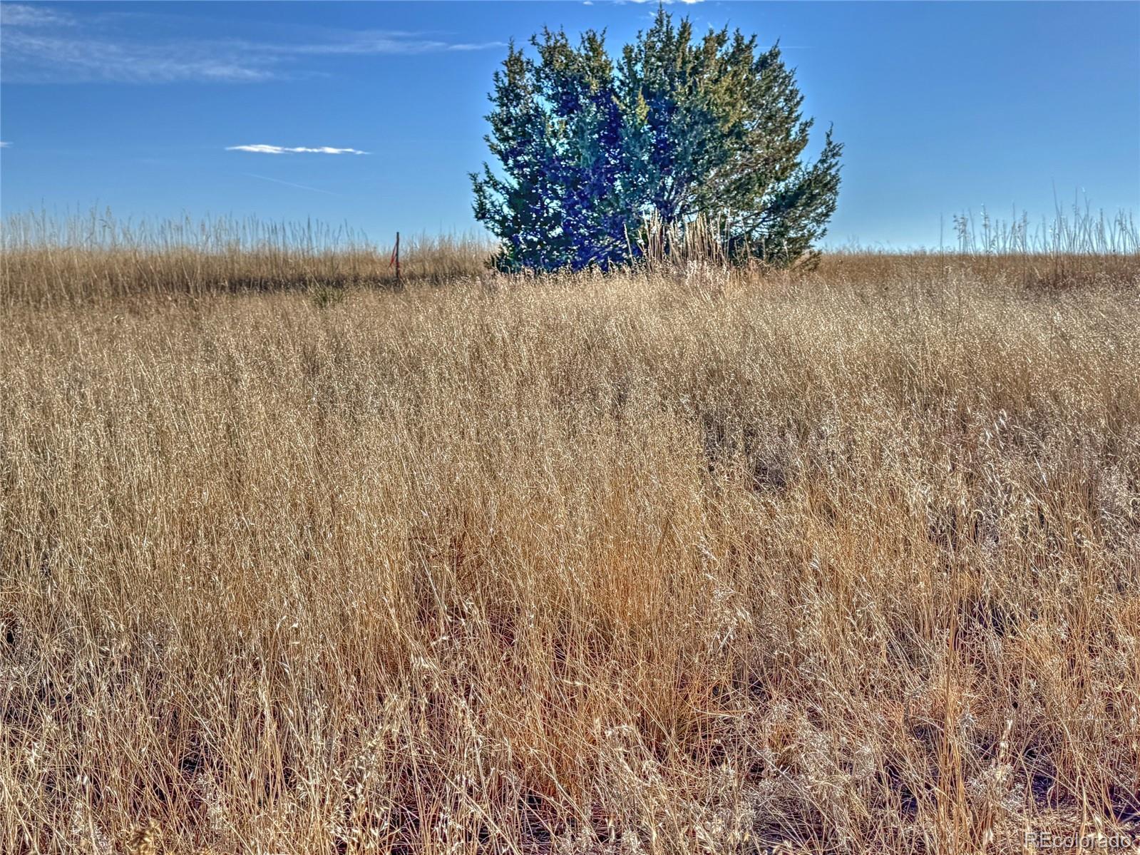 TBD-L309 Morgan Place Colorado City CO 81019