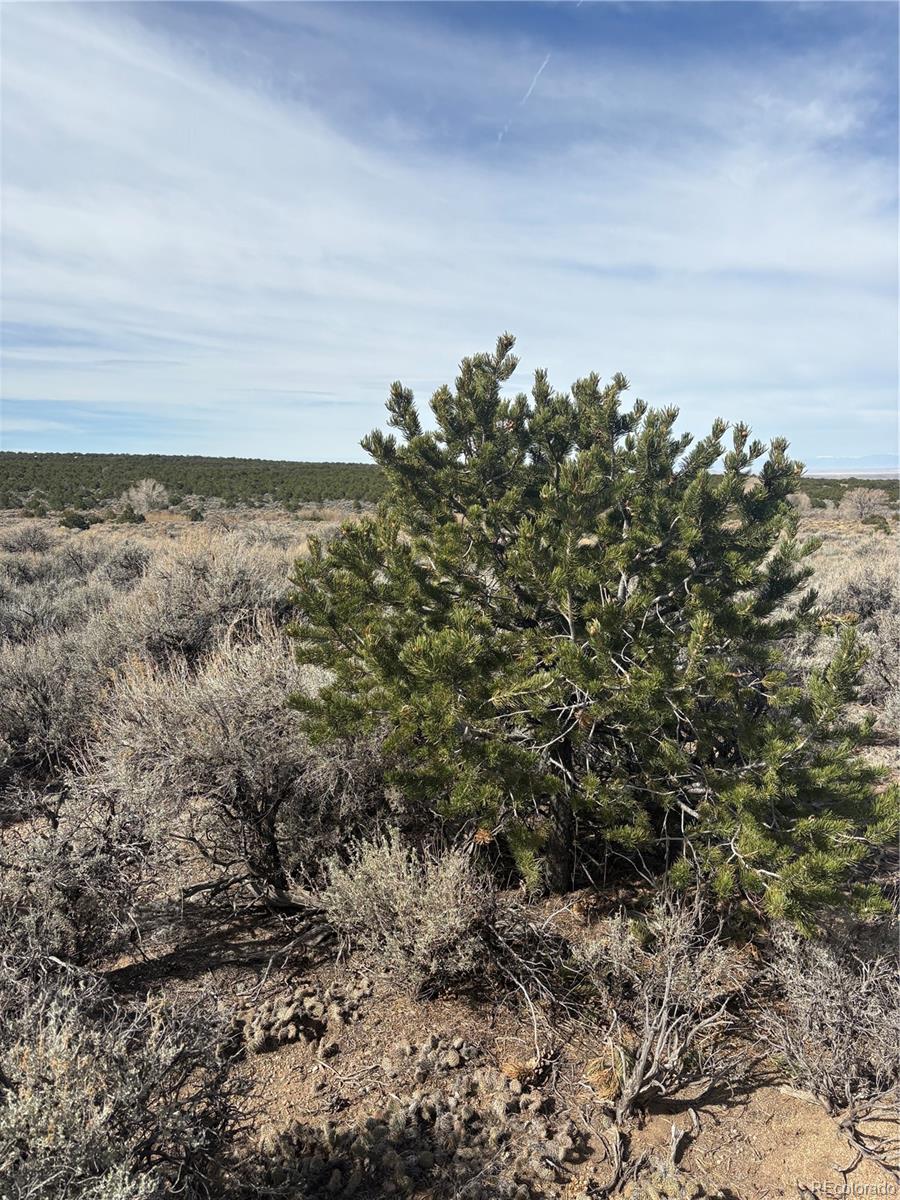 Lot 2121 Acapulco Road Fort Garland CO 81133