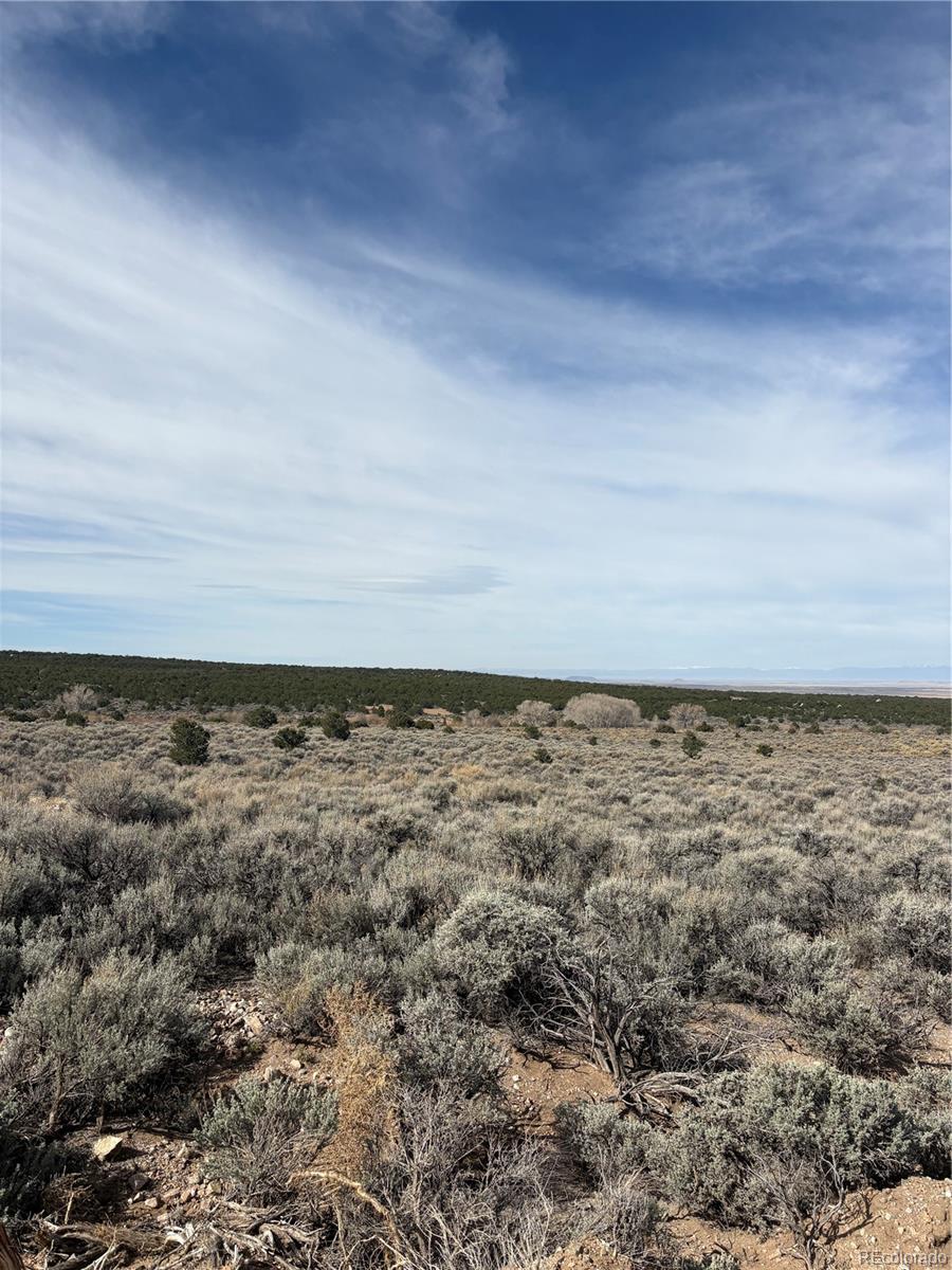 Lot 2121 Acapulco Road Fort Garland CO 81133