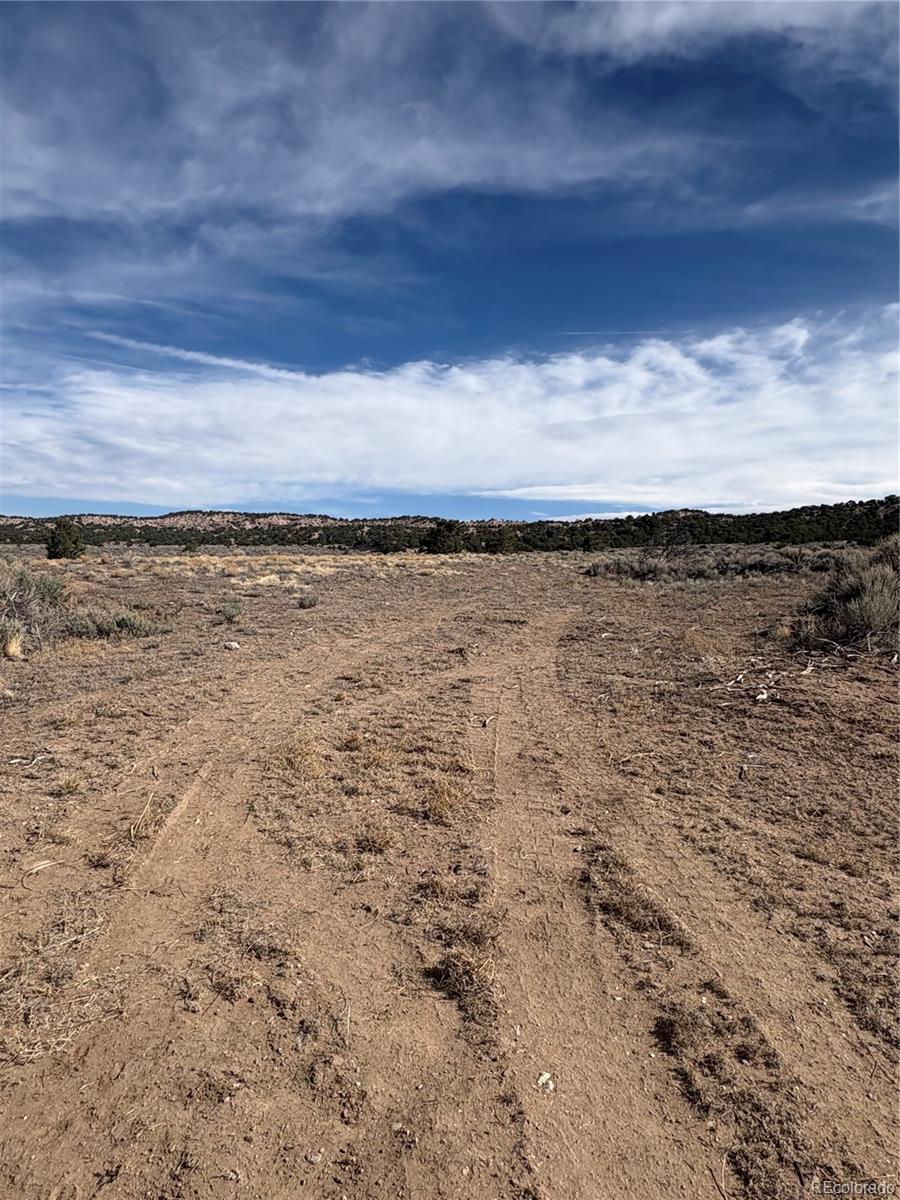 Lot 2121 Acapulco Road Fort Garland CO 81133