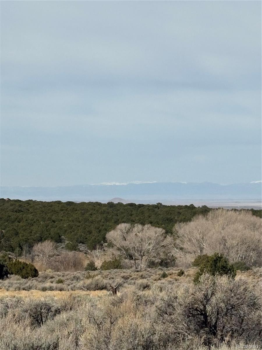 Lot 2121 Acapulco Road Fort Garland CO 81133