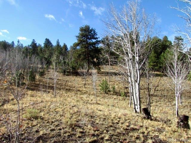 Tbd Cherokee Trail Hartsel CO 80449