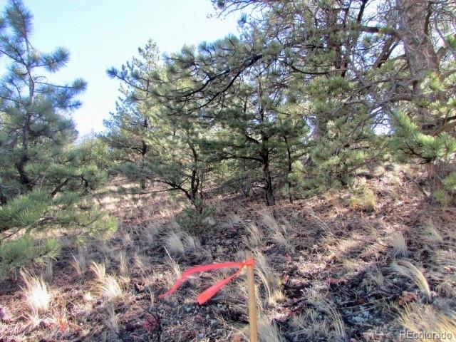 Tbd Cherokee Trail Hartsel CO 80449