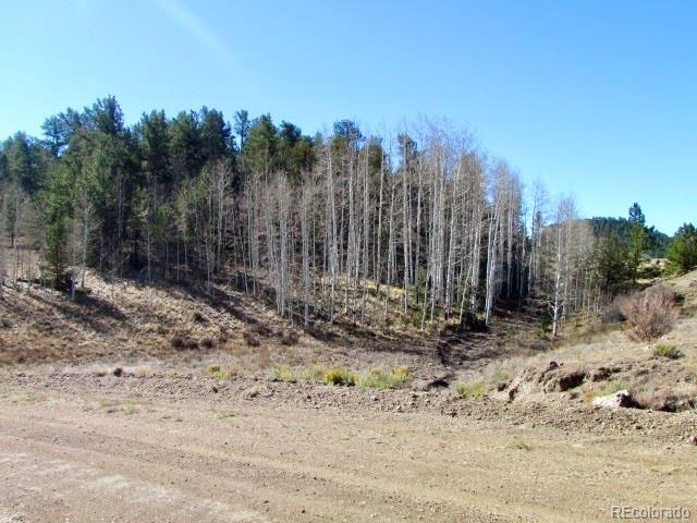 Tbd Cherokee Trail Hartsel CO 80449