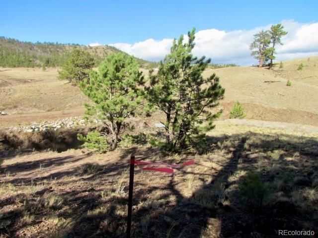 Tbd Cherokee Trail Hartsel CO 80449