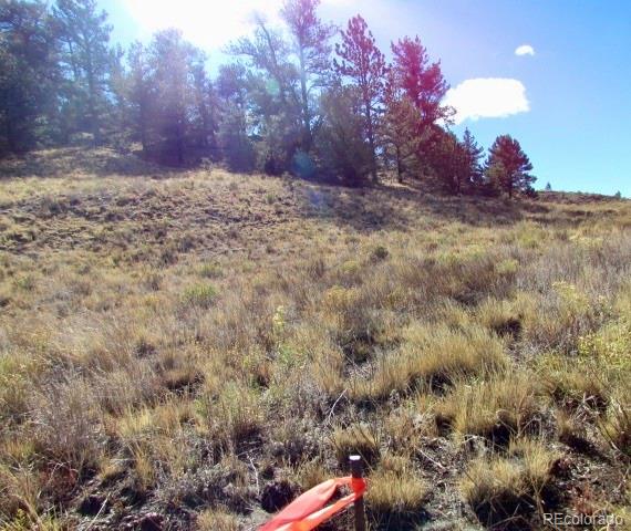 Tbd Cherokee Trail Hartsel CO 80449