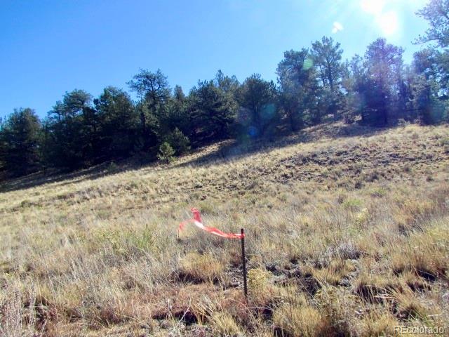 Tbd Cherokee Trail Hartsel CO 80449