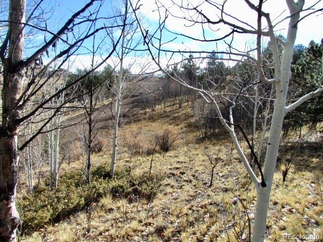 Tbd Cherokee Trail Hartsel CO 80449